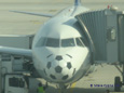 Lufthansa football nose